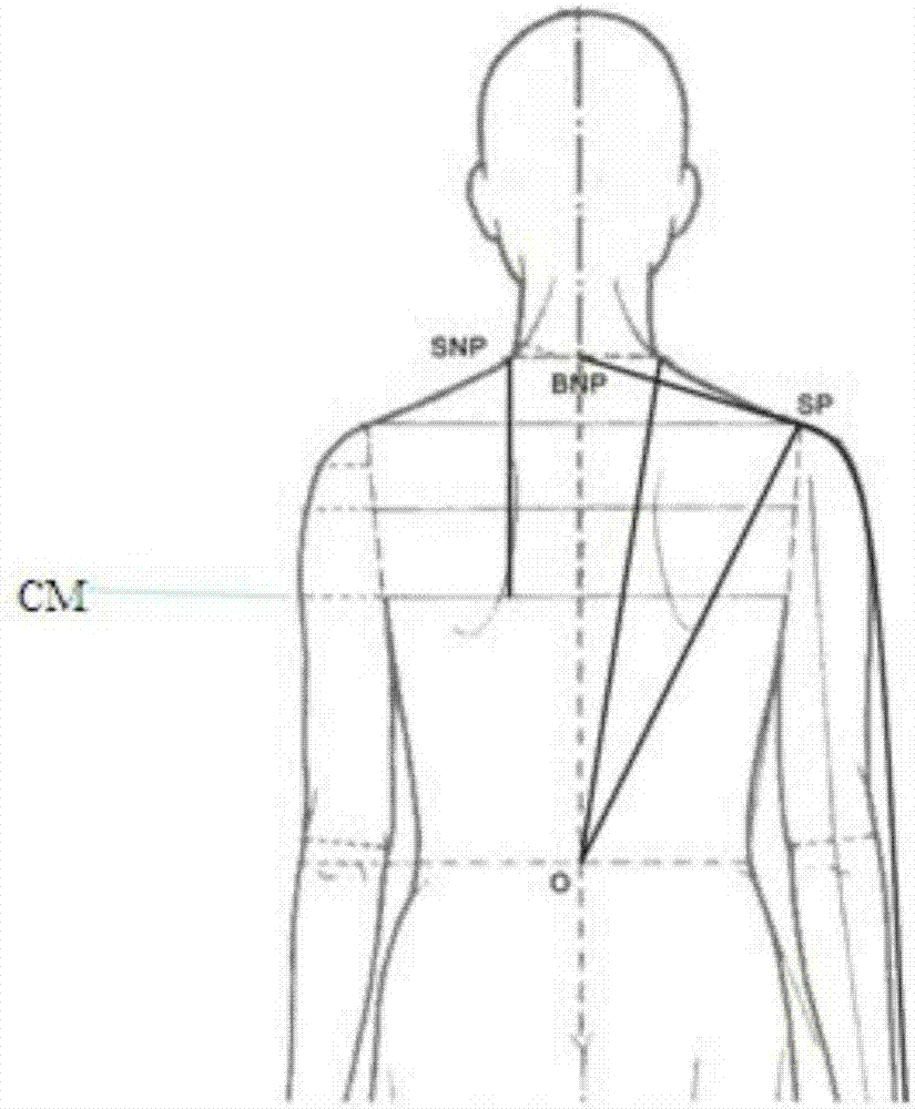 Vertical face perpendicular positioning device and three-point one-face human balance measuring method for garments