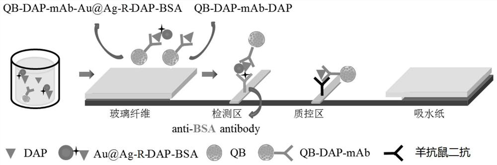 Small molecule triple immunochromatography detection method, test strip and kit