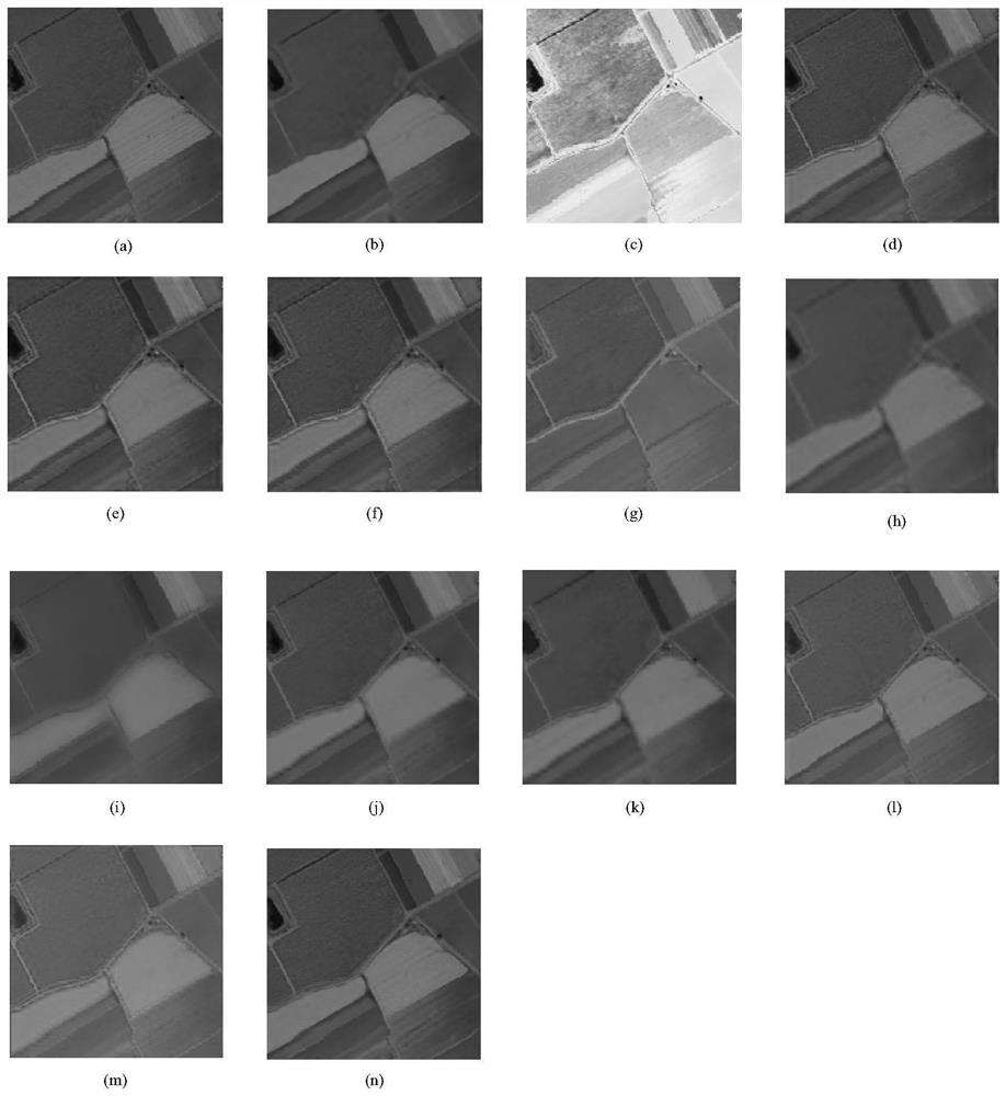 Hyperspectral and Panchromatic Image Fusion Method Based on Spatial Features Extracted by Aae