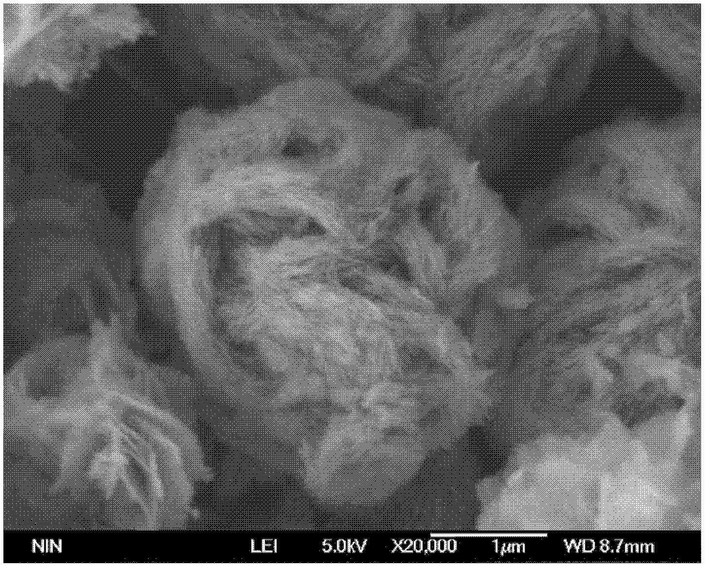 Method for preparing porous loose wool-ball-shaped bismuth tungstate powder photochemical catalyst with microwave-hydrothermal method