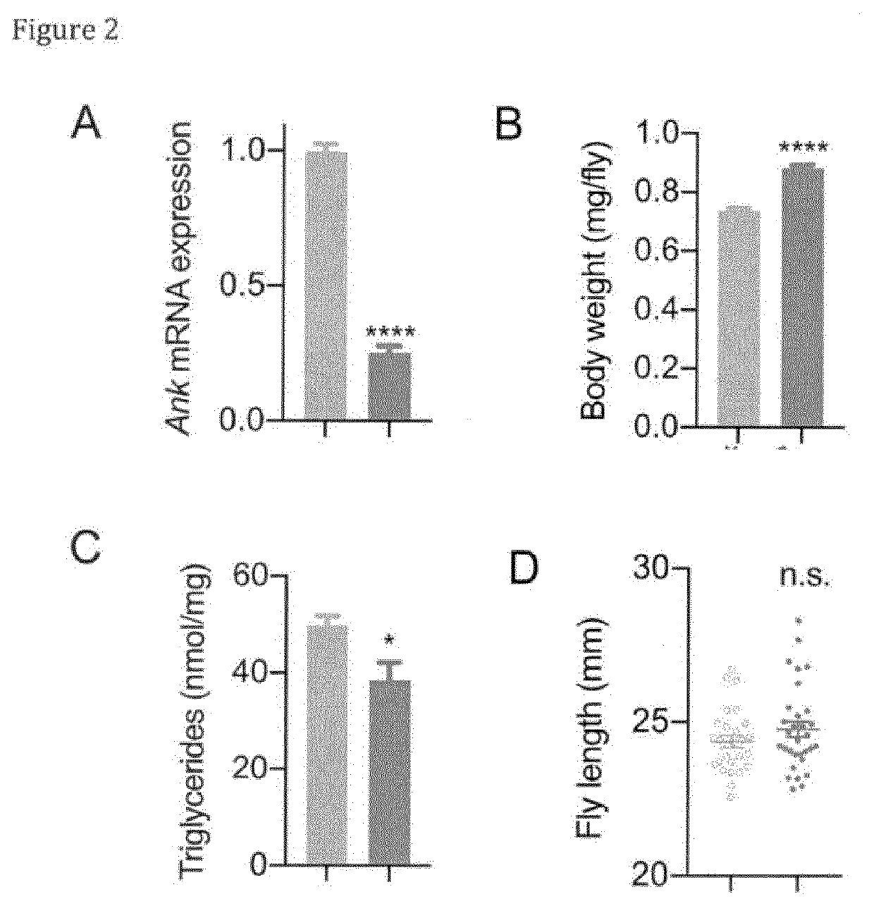 Methods of modulating ank1