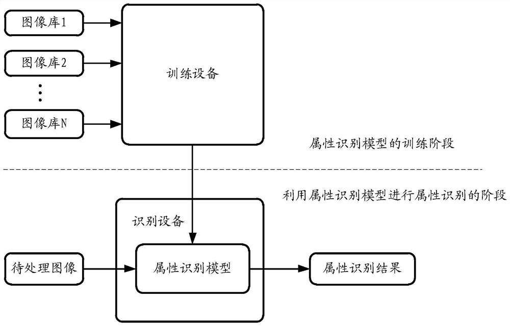 Attribute recognition model training method and device, attribute ...