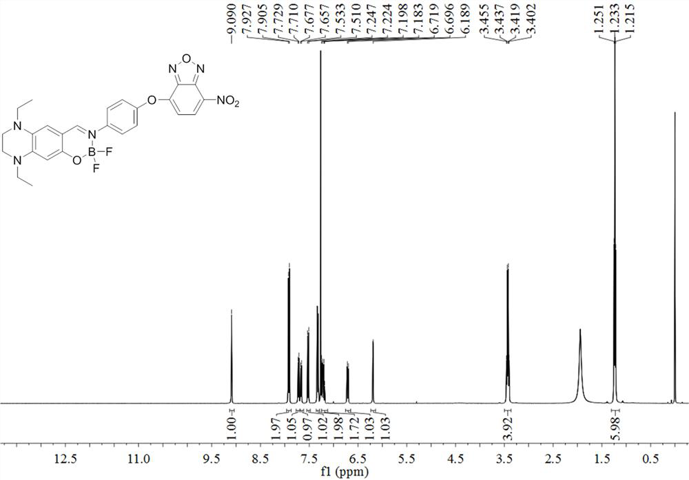 Fluorine-boron skeleton-based fluorescent probe TQBF-NBD with large Stokes displacement, and preparation method and application of fluorescent probe TQBF-NBD