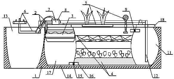 Lake sewage treatment device based on ecological structure