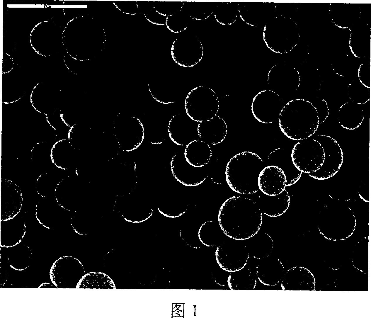 Radiation dispersion polymerization process of phenylethylene micro ball