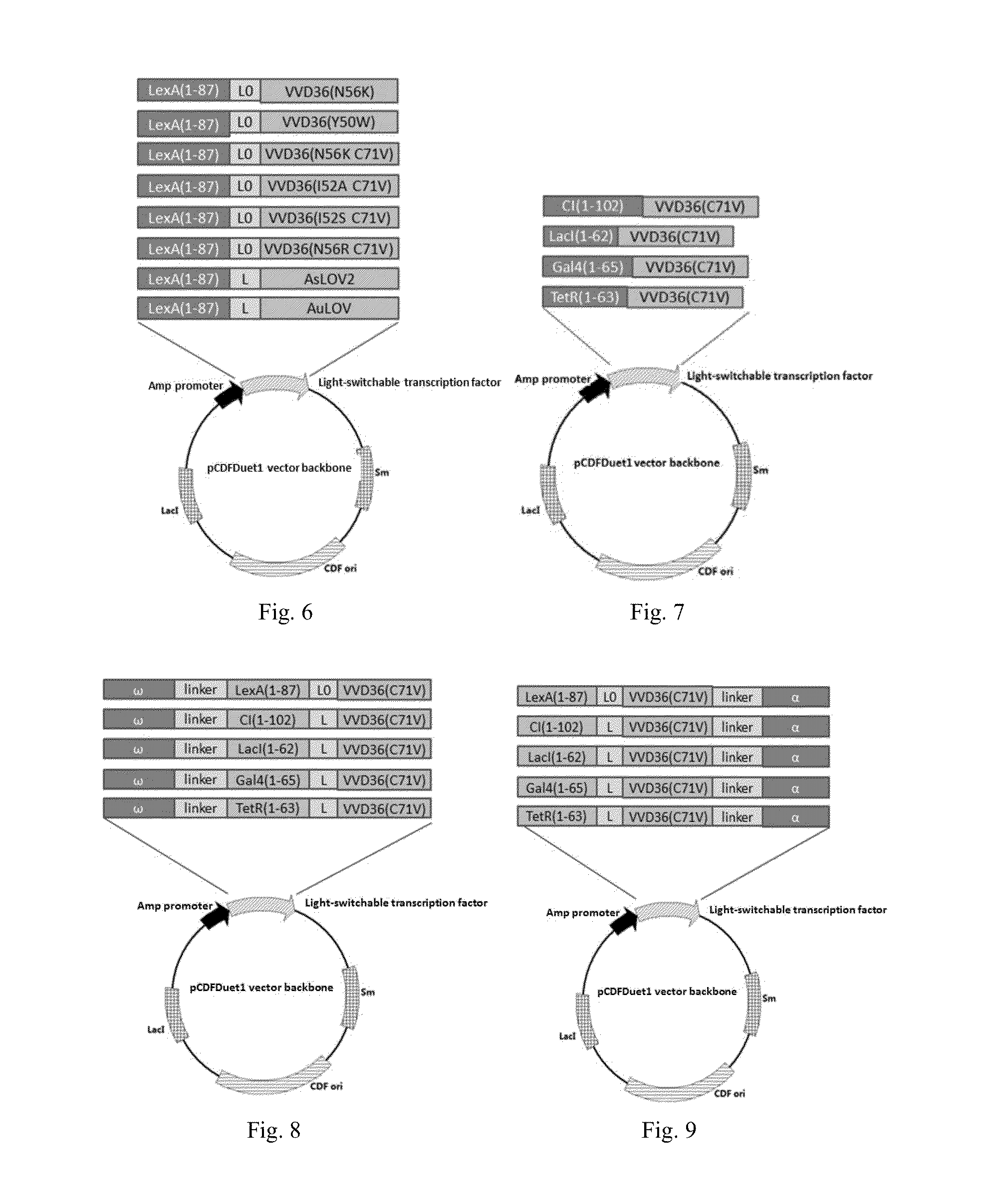 Light-Switchable Gene Expression System and the Methods for Controlling Gene Expression in Prokaryotic Bacterium