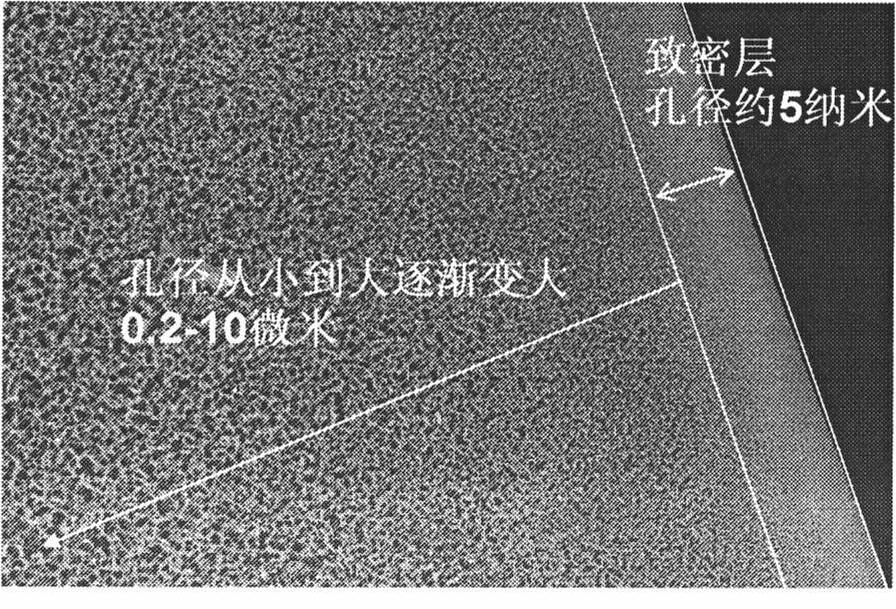 Hydrophilic film material and preparation method thereof