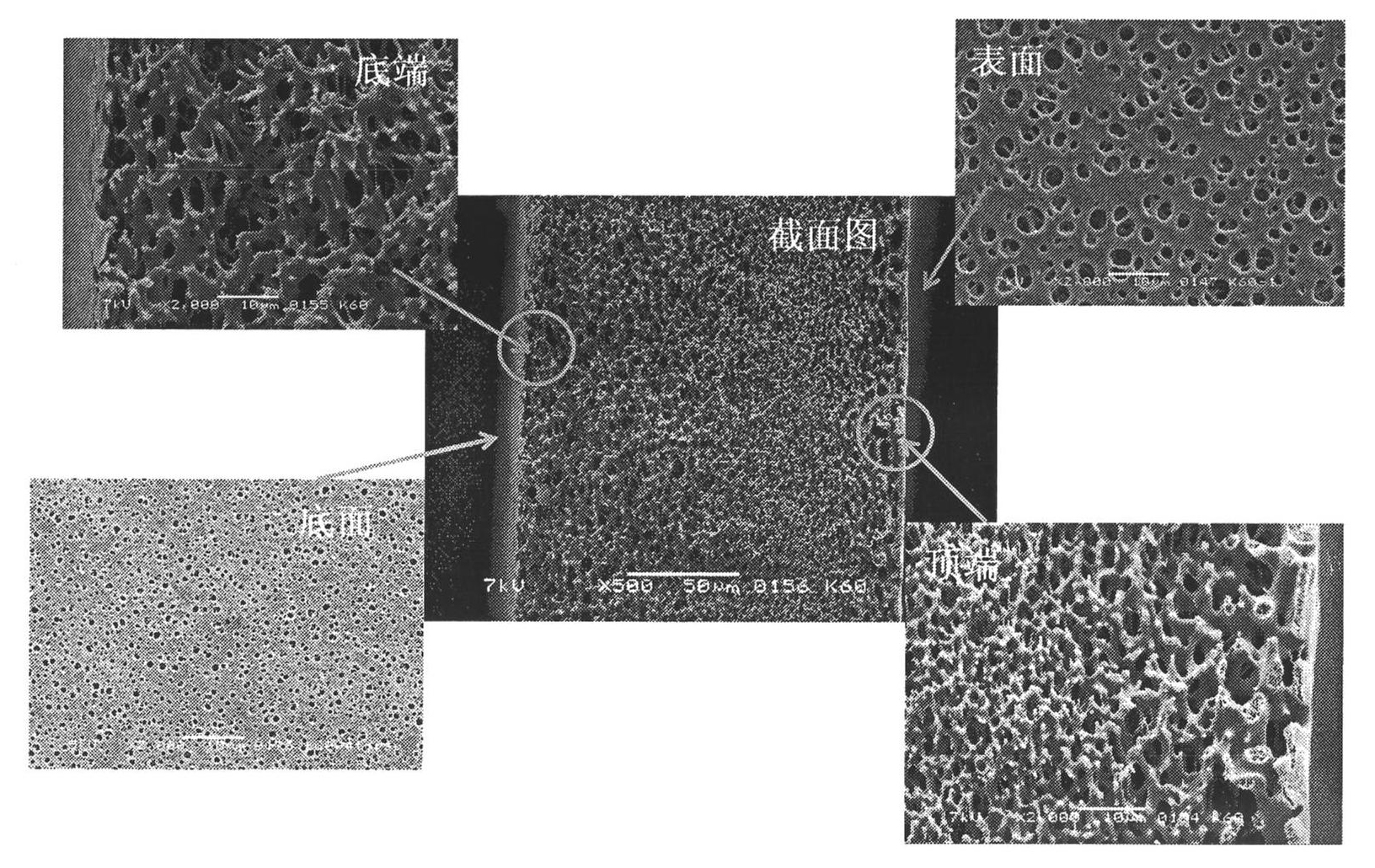 Hydrophilic film material and preparation method thereof