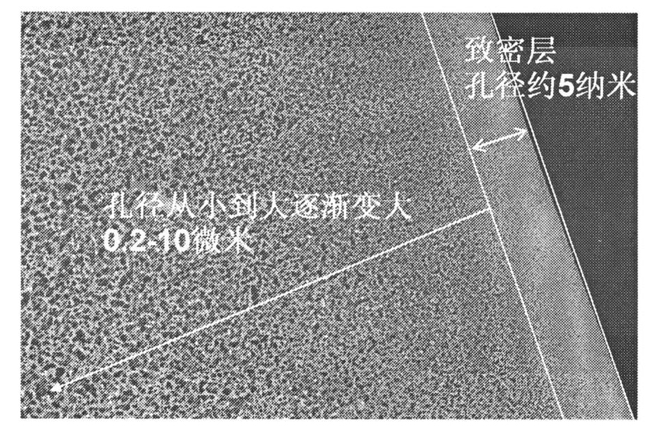 Hydrophilic film material and preparation method thereof