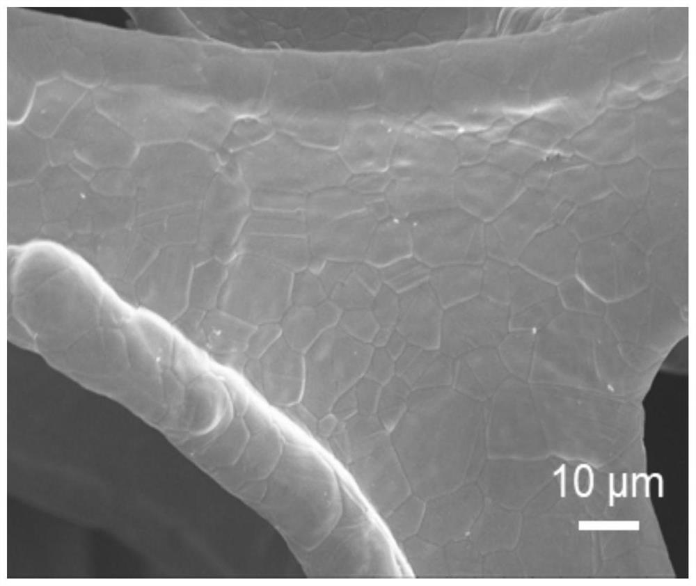 Manchuronol sulfide electrocatalyst with high catalytic activity and stability, preparation method of Manchuronol sulfide electrocatalyst and application of Manchuronol sulfide electrocatalyst in electrolyzed water