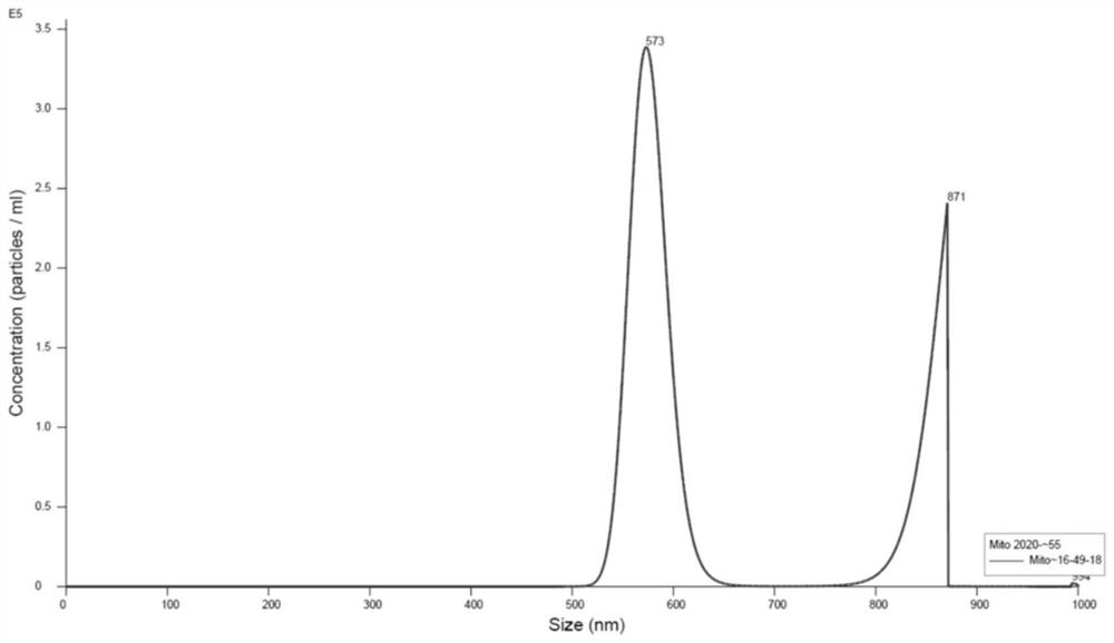 Application of mitochondrial transplantation in treatment of periodontitis