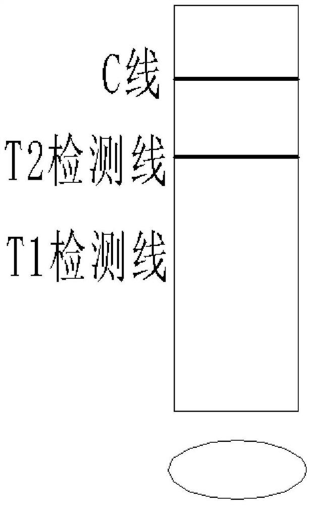 Detection kit for detecting variant new coronavirus and application thereof