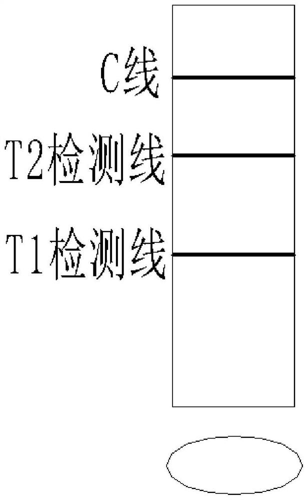 Detection kit for detecting variant new coronavirus and application thereof