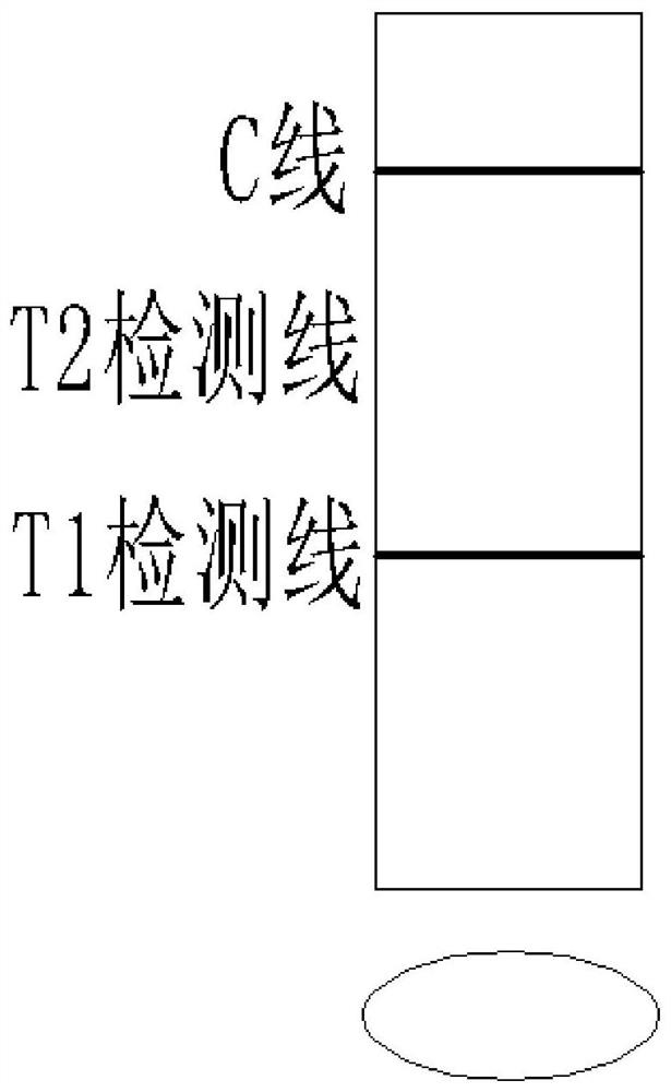 Detection kit for detecting variant new coronavirus and application thereof