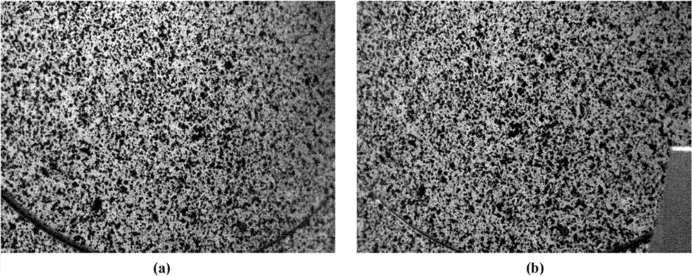 System and method for measuring residual stress in real time