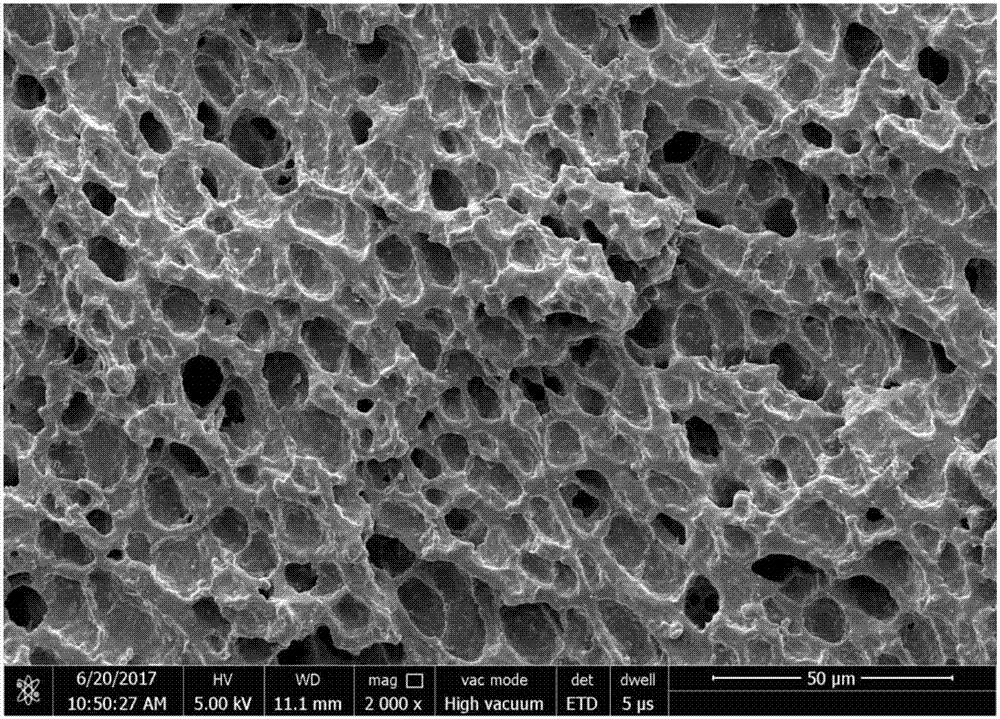 Reinforced polypropylene-carbonate biological material and high-through-hole-rate foaming product thereof, preparing method of reinforced polypropylene-carbonate biological material and preparing method of high-through-hole-rate foaming product