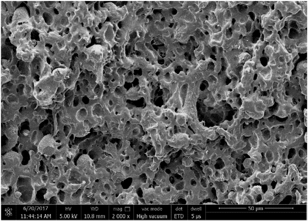 Reinforced polypropylene-carbonate biological material and high-through-hole-rate foaming product thereof, preparing method of reinforced polypropylene-carbonate biological material and preparing method of high-through-hole-rate foaming product