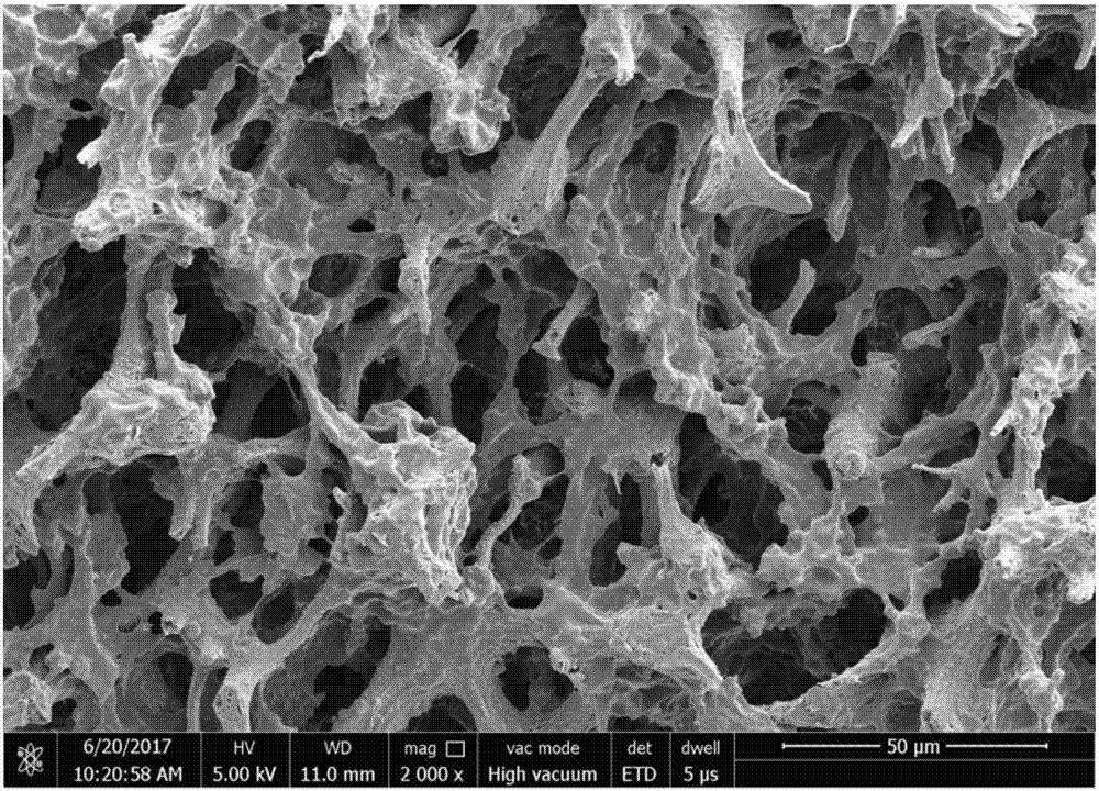 Reinforced polypropylene-carbonate biological material and high-through-hole-rate foaming product thereof, preparing method of reinforced polypropylene-carbonate biological material and preparing method of high-through-hole-rate foaming product