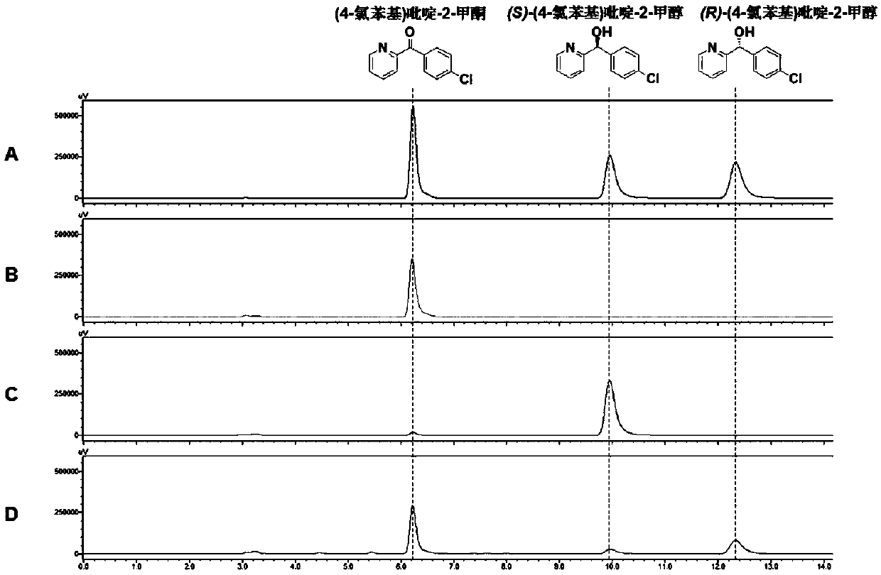 Alcohol dehydrogenase mutant and application thereof in synthesis of chiral diaryl alcohol compounds