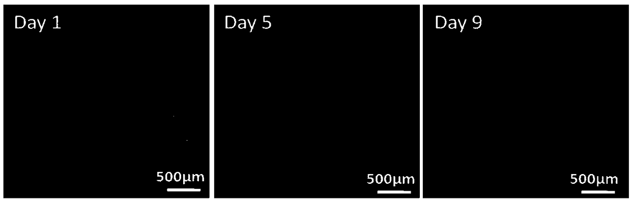 Preparing method of hollow multilayer structure fibers, obtained fibers and application of fibers