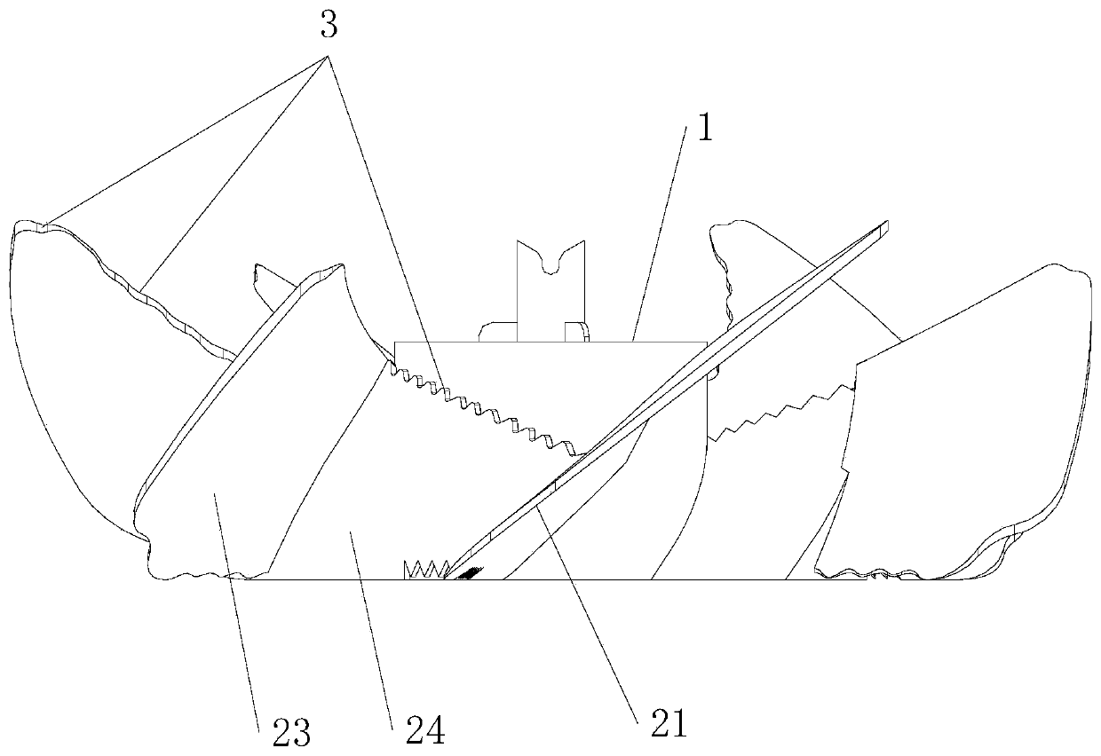 Double-blade-fixing clustering fan blade structure, axial fan and air conditioner