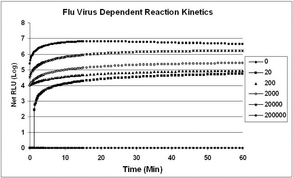 Influenza virus real-time detection kit and method