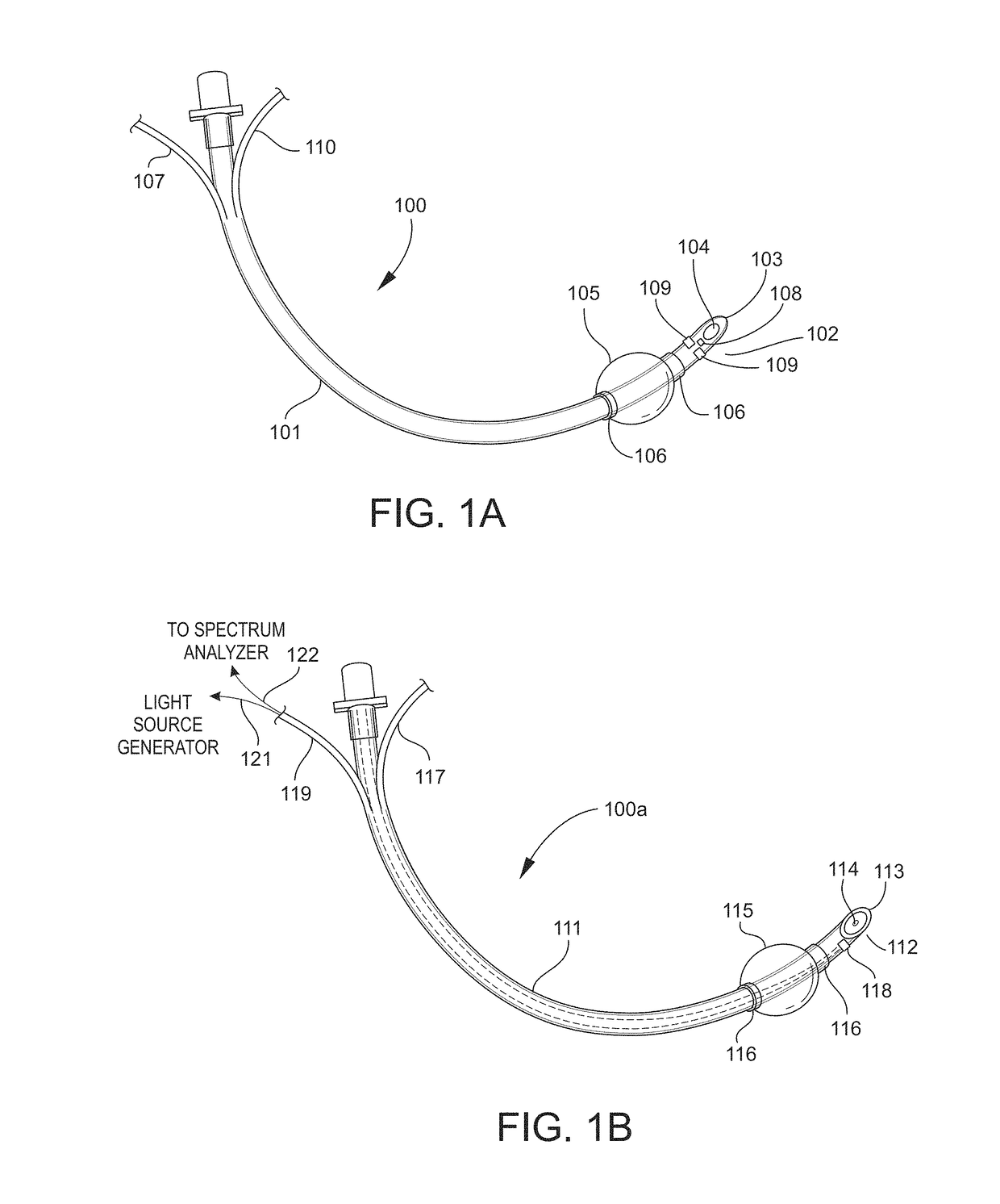 Airway Management Device for Identification of Tracheal and/or Esophageal Tissue