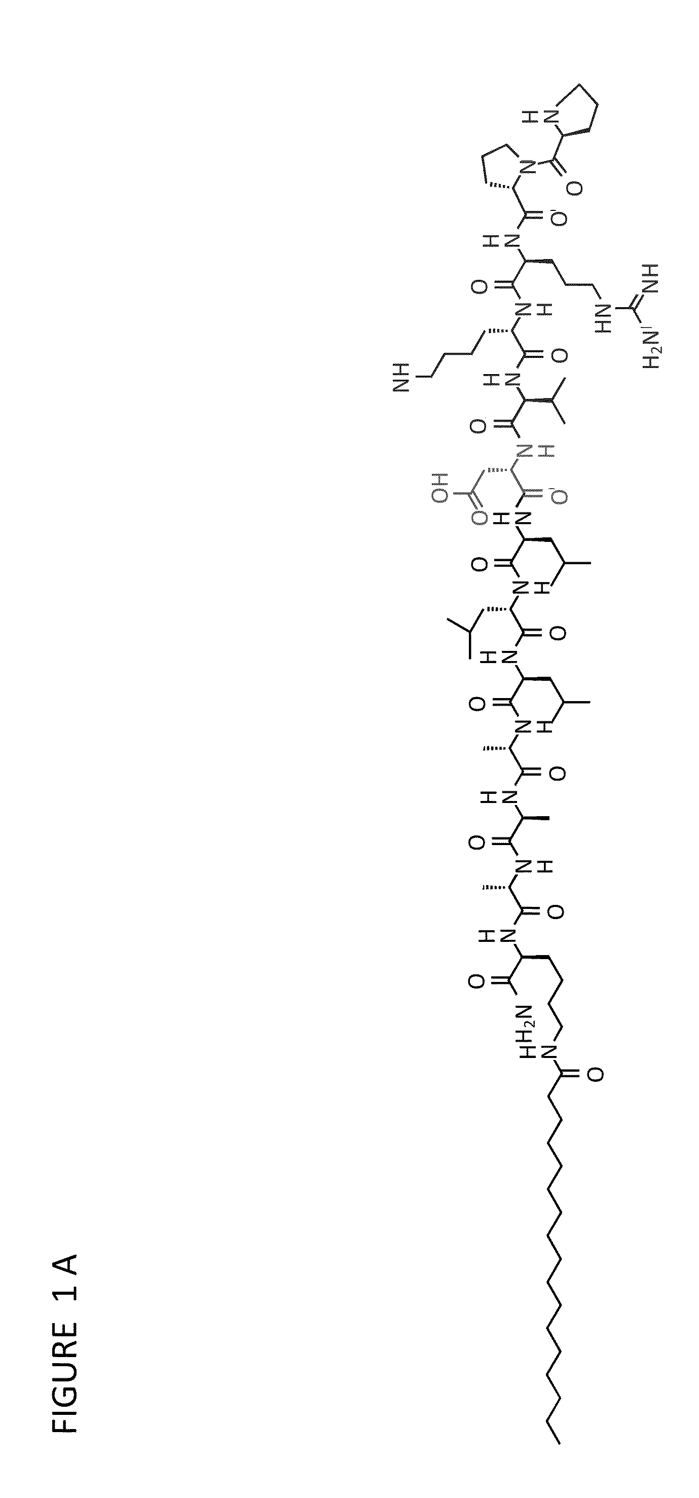 Self assembling peptide systems and methods