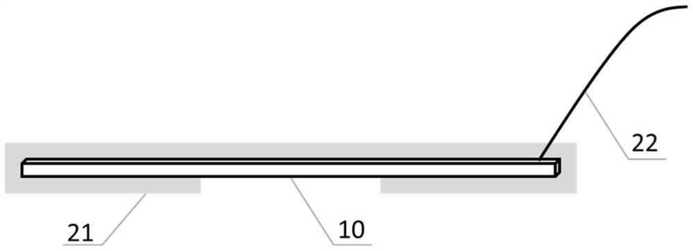 Device and method for detecting evolution of corrosion resistance of coating with deformation of magnesium substrate