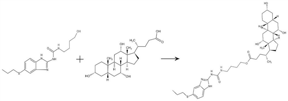 Albendazole-cholic acid derivative as well as preparation method and application thereof