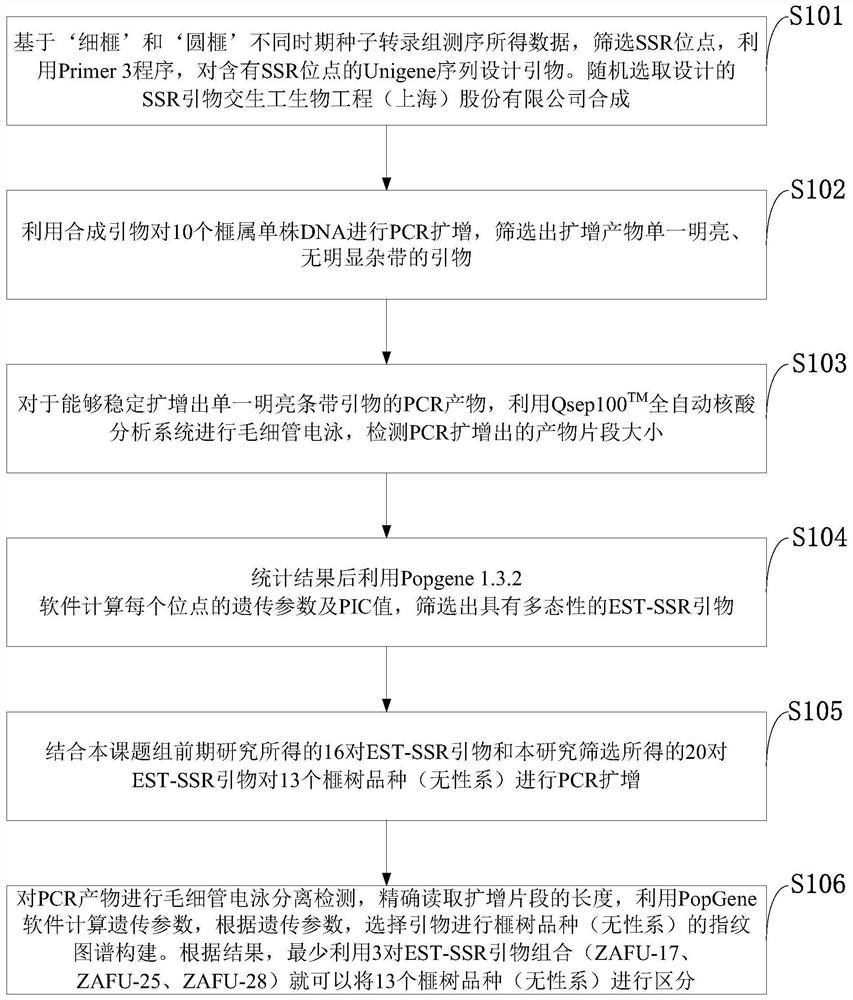 A method for constructing Torreya est-ssr primer and variety fingerprint