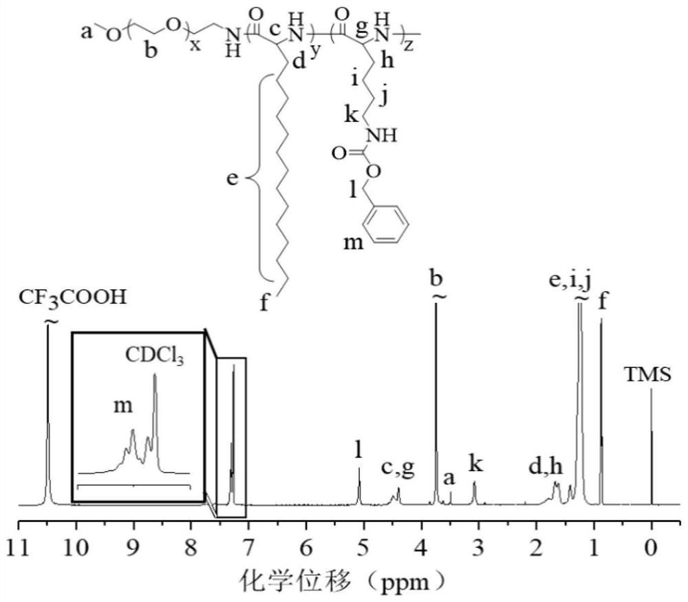 A polylipopeptide vesicle with a positively charged inner membrane and its preparation method and application