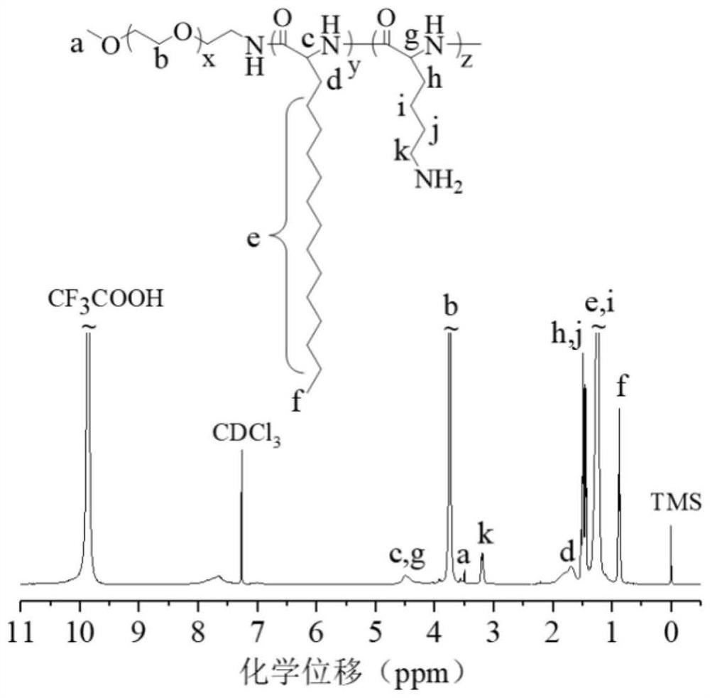 A polylipopeptide vesicle with a positively charged inner membrane and its preparation method and application