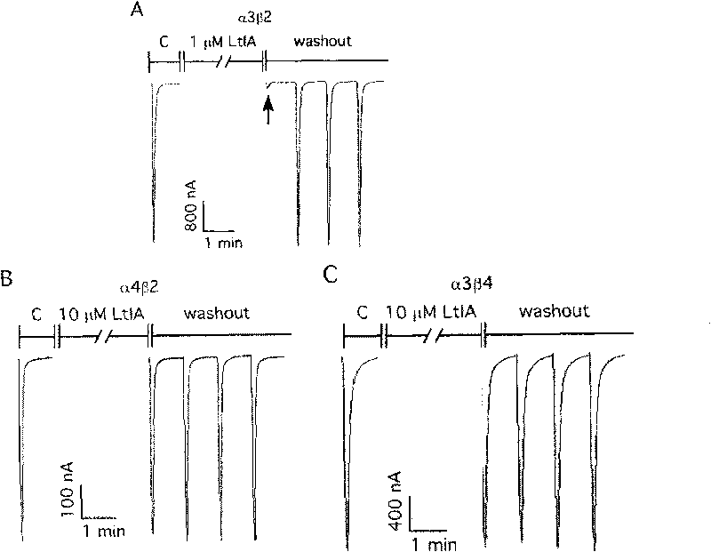 Alpha-conotoxins from Hainan province for specific blockage of acetylcholine receptor and application thereof