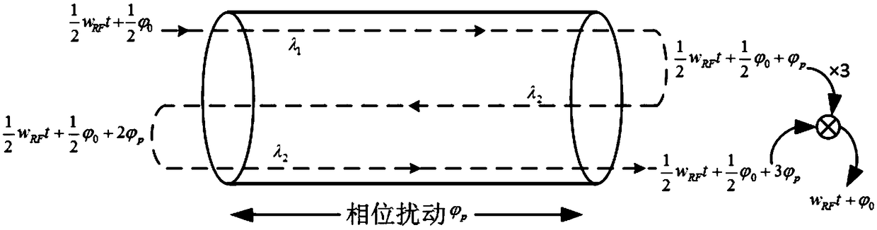 A multi-frequency multi-point microwave optical fiber phase-stable transmission method based on passive phase correction