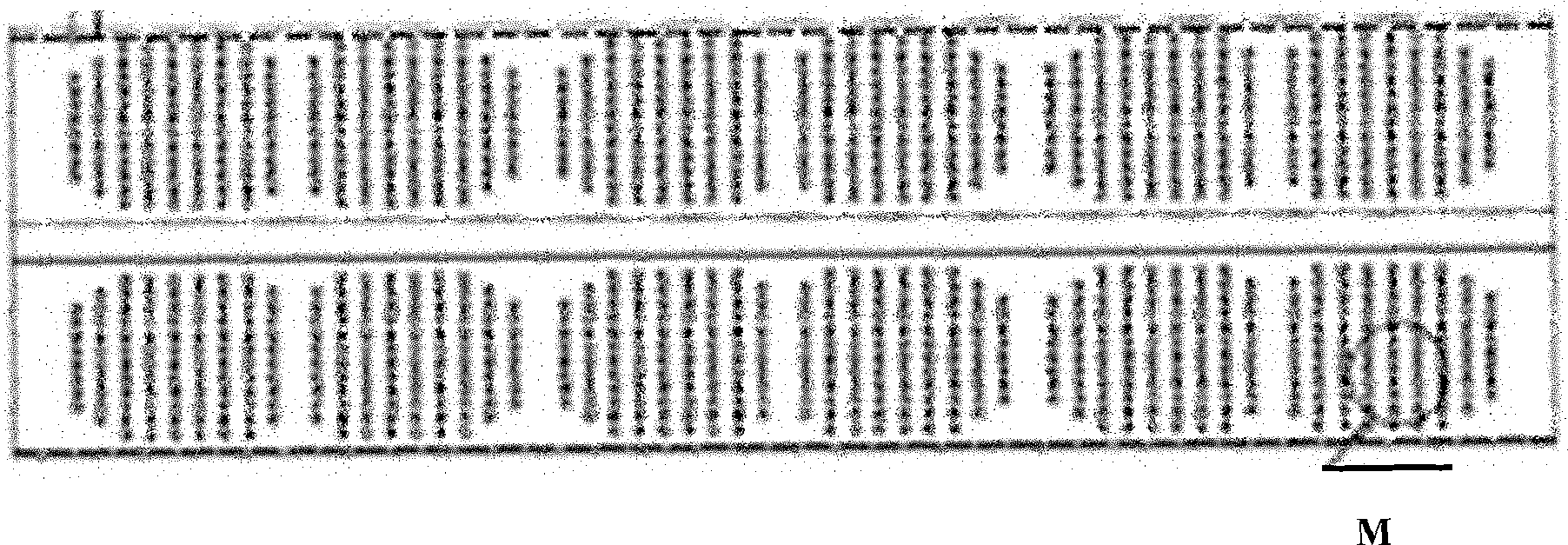 Bushing and method for preparing electronic spun yarns