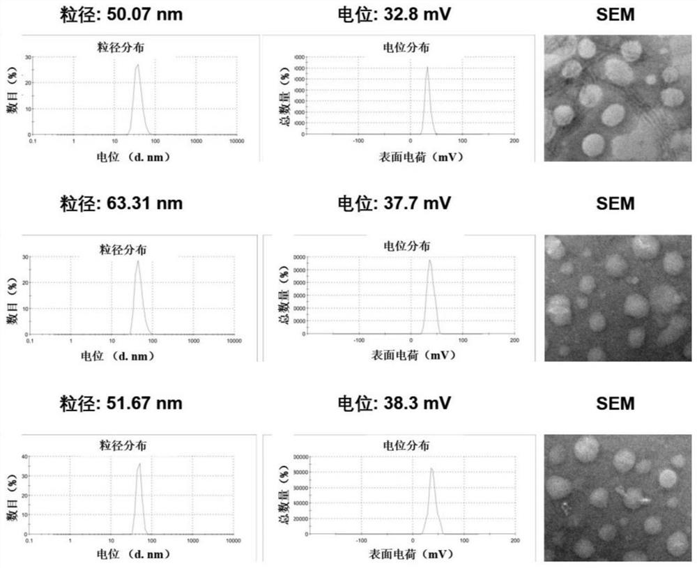 Liver targeting small nucleic acid drug sustained-release delivery system and application thereof