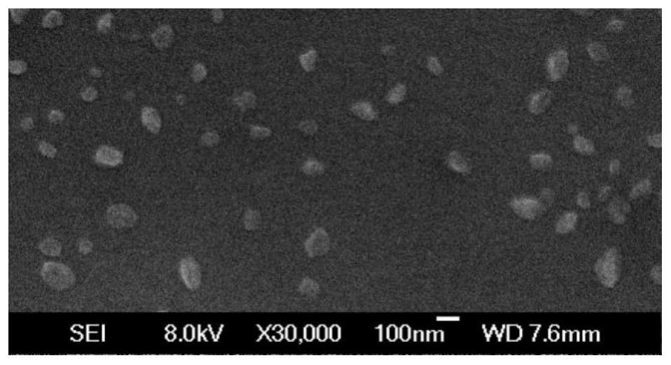 A self-assembled nanosystem loaded with sea cucumber saponin and its preparation method and application