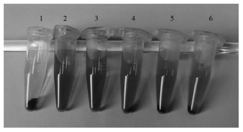 A self-assembled nanosystem loaded with sea cucumber saponin and its preparation method and application