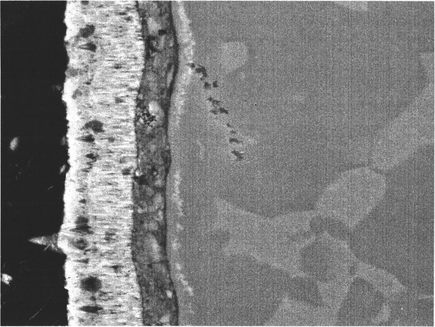 Preparation of high tenacity nanocrystalline silicide coating