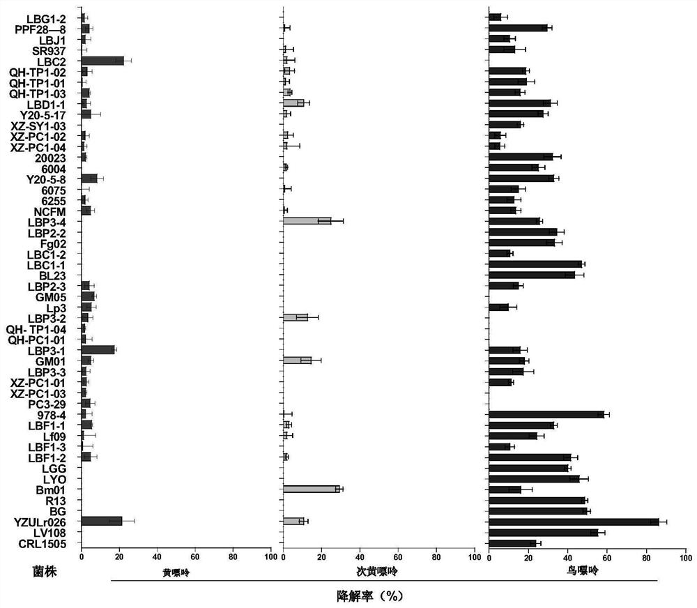 A highly efficient purine-degrading Lactobacillus rhamnosus yzulr026 and its application