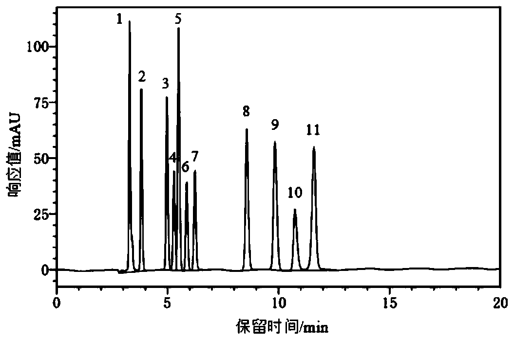 Citrus medica enzyme and preparation method thereof