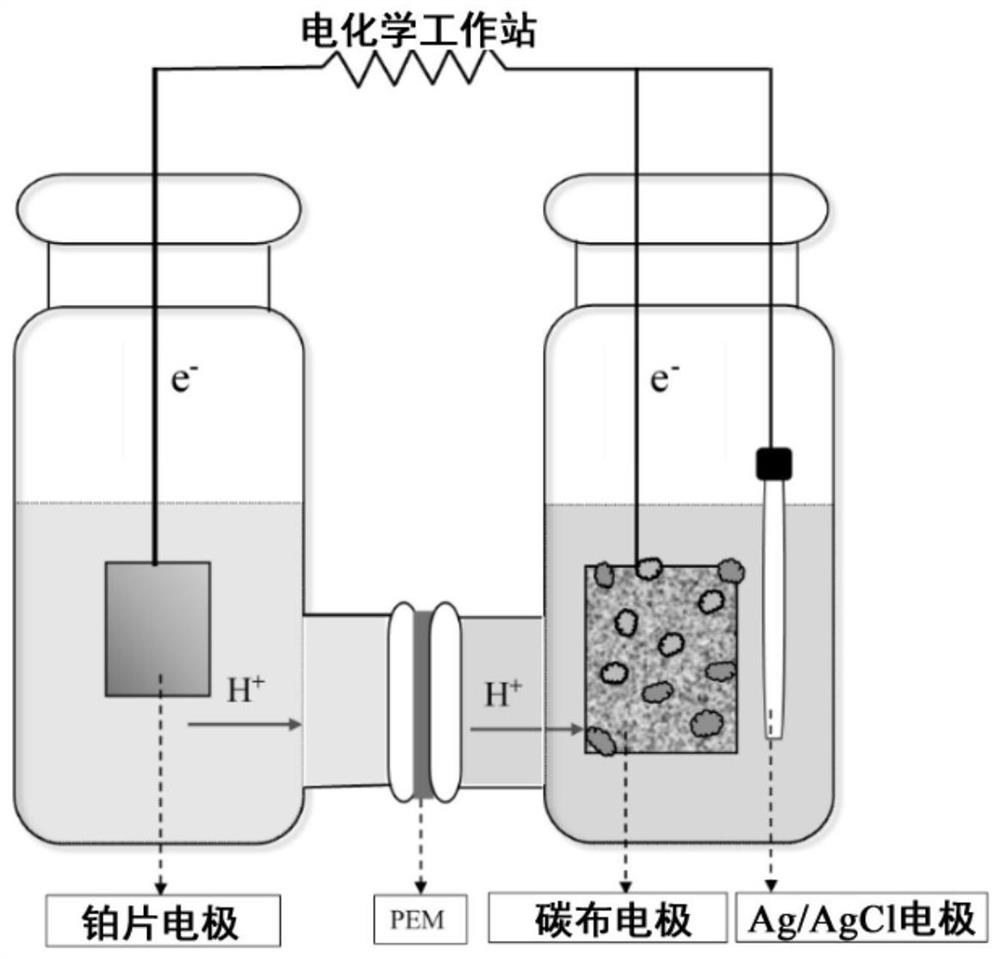 Method for electrocatalytic conversion of carbon dioxide by microorganisms