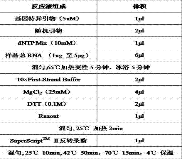 Gene chip for detecting porcine respiratory disease complex virus and method for detecting porcine respiratory disease complex virus