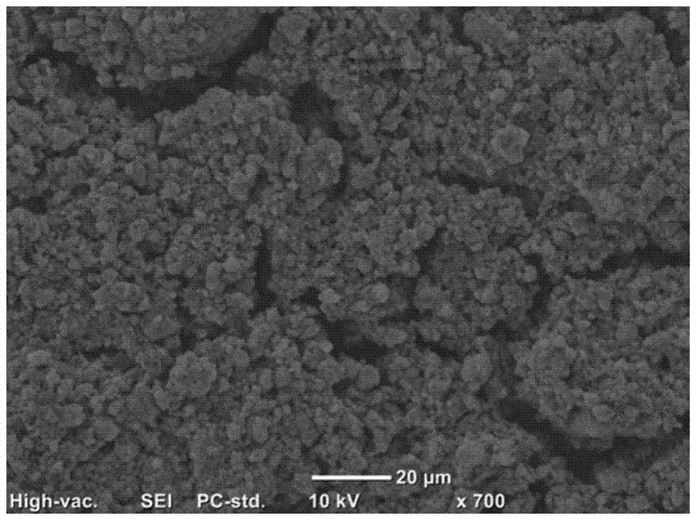 Positive electrode for lithium sulfur batteries, preparation and application thereof