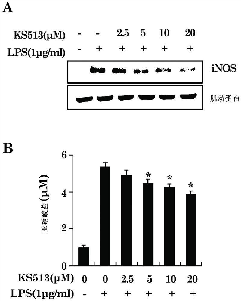 Compound ks513, compositions comprising the same and uses thereof