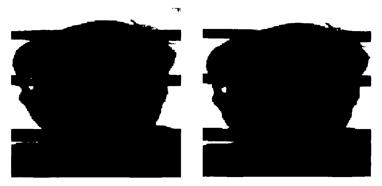 Improved PCA face recognition algorithm capable of resisting illumination influence