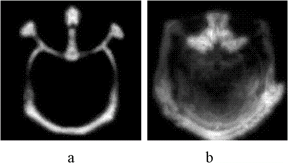 A method and system for image fusion quality assessment