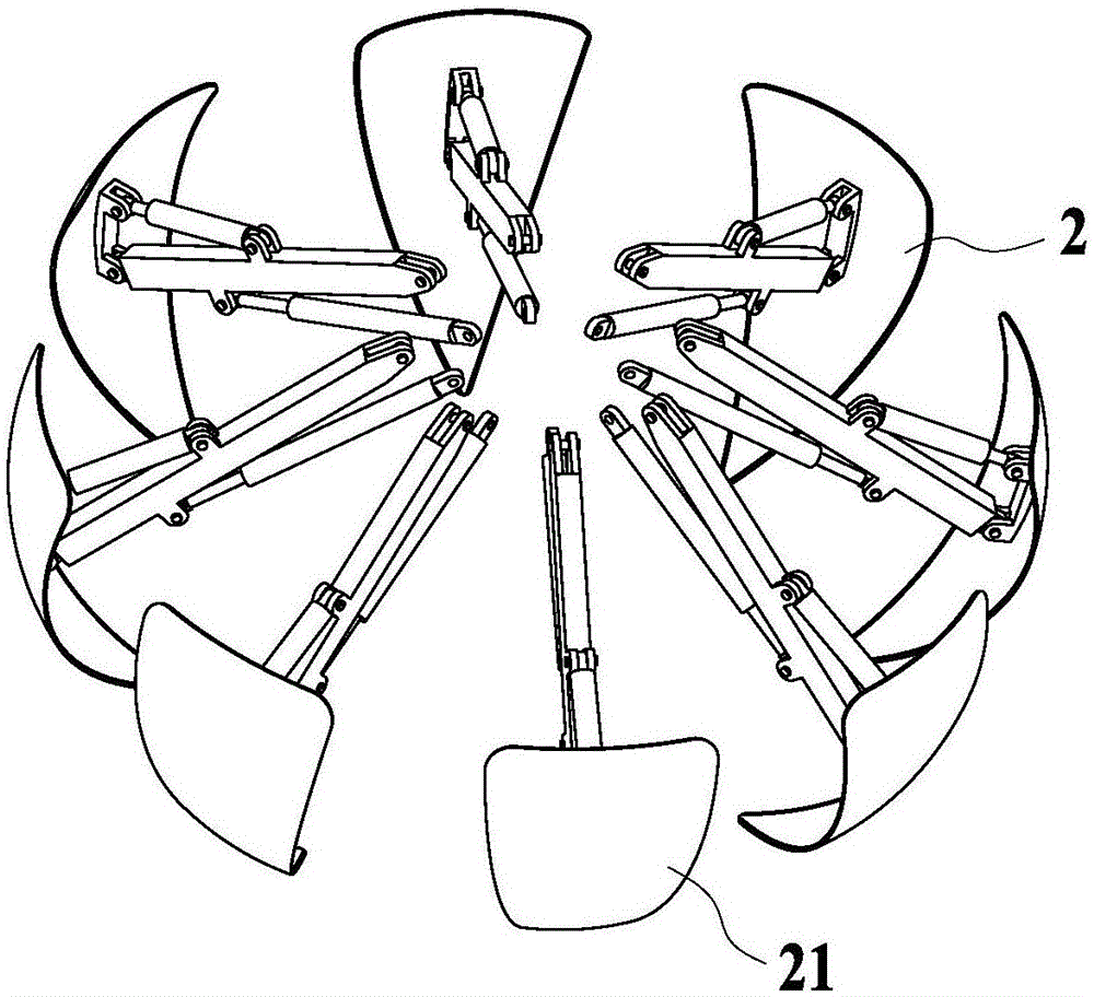 Small lobedfruit schizocapsa rhizome harvesting robot