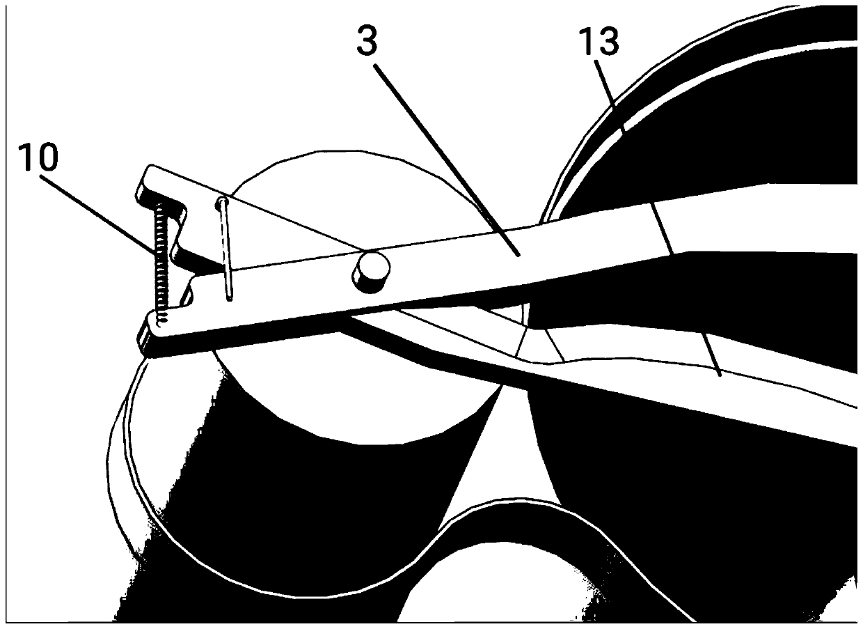 Apple picking device for self-service picking orchards